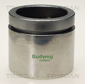 Triscan Kolben, Bremssattel Links, Rechts, Vorderachse U.A. FüR Bmw, VW-image