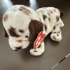Ty Beanie Babies Bo Dog Plush 10th Anniversary 2002 with Tags