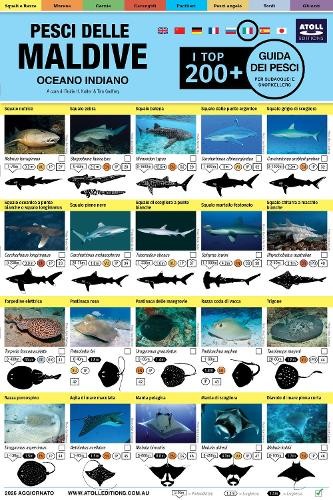 Maldive Guida Dei Pesci by Rudie H Kuiter, Tim Godfrey - 9781876410117