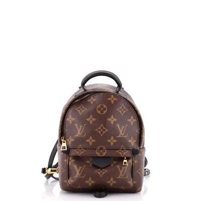 Louis Vuitton Palm Springs Backpack Monogram Canvas Mini