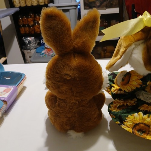 Easter Decor Bundle - Two Bunnies, Silicone Molds, Crafts, Cupcake Carriers - Picture 8 of 10