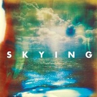 Horrors - Skying - Vinyl Record - G3Z