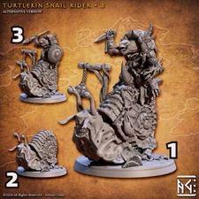 Turtlekin Tortle Snail Rider Design B|  Enemy Character | Resin Mini Miniature F