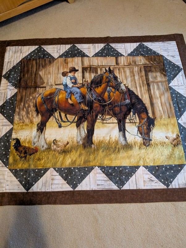 Handmade Quilt Top~Rodeo Quilt~Cowboy Quilt~Size 45" x 55"~US Shipping Included