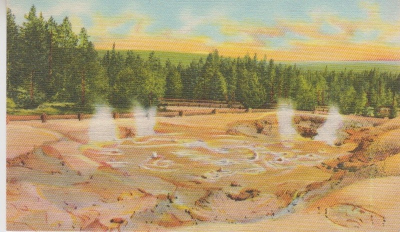 Fountain Paint Pots, Lower Geyser Basin. YELLOWSTONE NATIONAL PARK. #954 Vintage