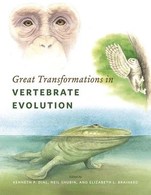 Great Transformations in Vertebrate Evolution | Elizabeth L. Brainerd (u. a.)