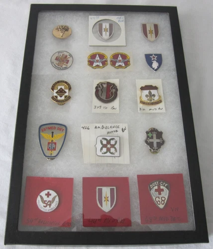 Vintage US Military Medical Pins Badges Insignias WW2 Vietnam Glass Case