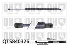 Boot/Cargo Area Gas Spring 755mm Length For VW Multivan QUINTON HAZELL QTS840326