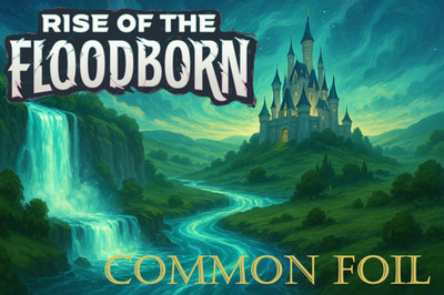 Lorcana Rise of the Floodborn Common Cold Foil Singles   Pick Your Card NM TCG