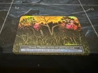 Sorcery: Contested Realm Dread Thicket Elite Foil NM (GT)