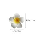 Foto 11 di 12