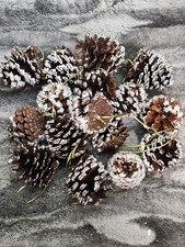 Christmas Ornaments Pinecones Flocked Hanging Rustic Holiday Decor Set of 16