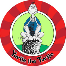 59243 - Yertle the Turtle Flashtag pathtag geocoin alt geocaching swag