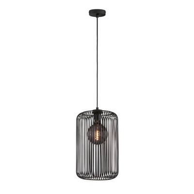 Beautiful Living Pendant Light Cage Metal Sand Black Textile Cable Black