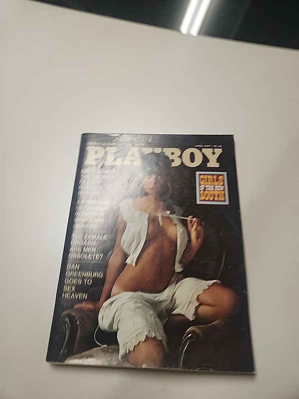  Playboy Magazine April 1977 Playmate Lisa Sohm Girls of New South