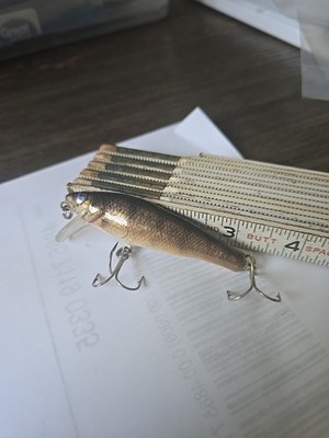 Baglley Go Devil Fishing Lure - Silver Green | eBay