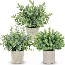 3 PCS Small Potted Fake Plants Artificial Eucalyptus Lifelike Faux Topiaries