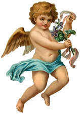 Cherub angel sticker weatherproof  bumper vinyl decal