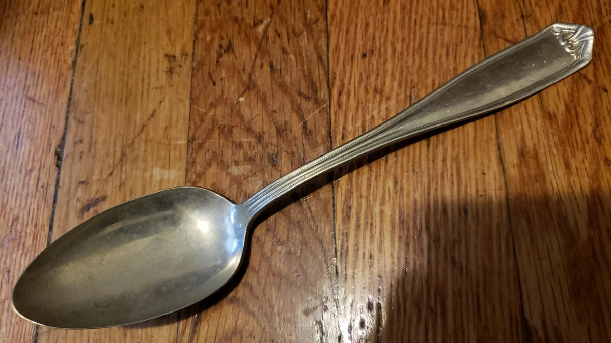 Nickel silver best sale spoon