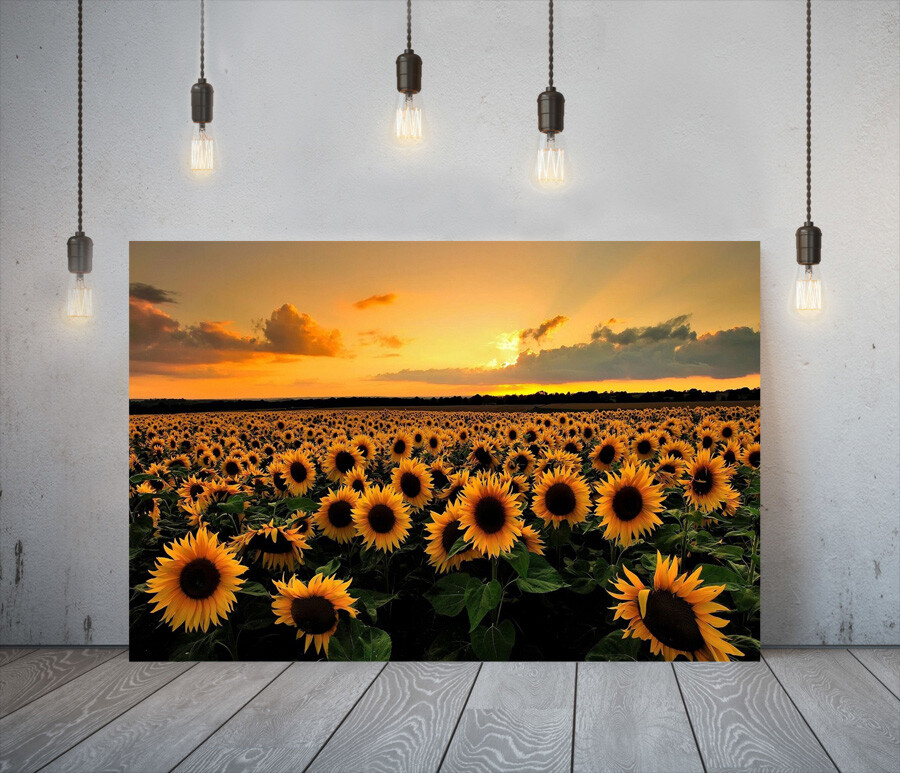 YELLOW VIBES 21- FRAMED CANVAS WALL ART PICTURE PAPER PRINT
