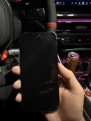 iPhone 14 Pro Max With TikTok App 