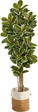 6Ft. Oak Artificial Tree in Handmade Natural Jute and Cotton Planter UV Resistan