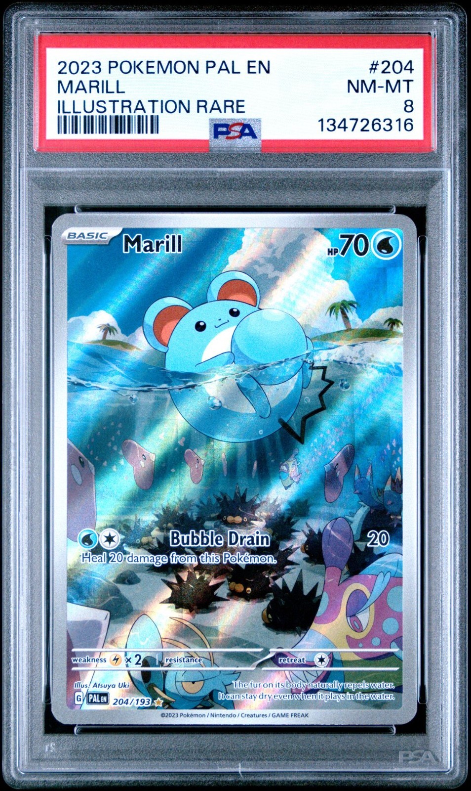 2023 POKEMON PAL EN-PALDEA EVOLVED ILLUSTRATION RARE #204 MARILL PSA 8