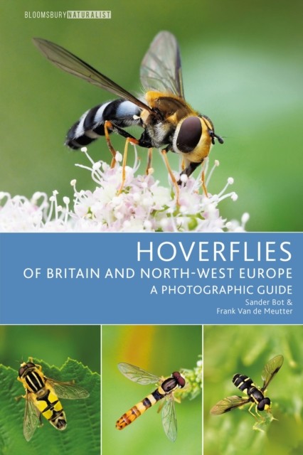 Hoverflies of Britain and North-west Europe by Frank Van de Meutter