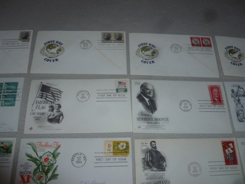 LOTE DE CUBIERTA DE EE. UU. CRUZADA DE BANDERA AMERICANA CONTRA EL CÁNCER FREDERICK DOUGLAS CARTA MAGNA - Imagen 4 de 11