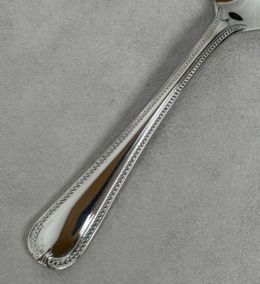 Lenox VINTAGE JEWEL GLOSSY Choice Stainless Steel Flatware Set 18/10 Devoted