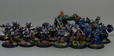 Trollbloods Painted Warmachine  Hordes