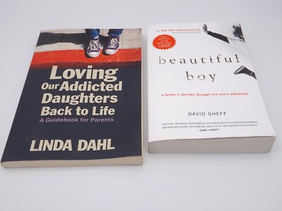 Lot of 2 Books Loving Our Addicted Daughters & Beautiful Boy Guidebook Addiction