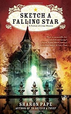 Sketch a Falling Star Paperback Sharon Pape