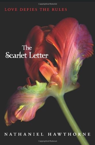 The Scarlet Letter by Nathaniel Hawthorne - 9780062066022 - Image 2