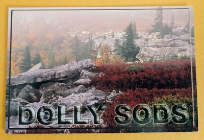  Postcard WV: Dolly Sods,  West Virginia.