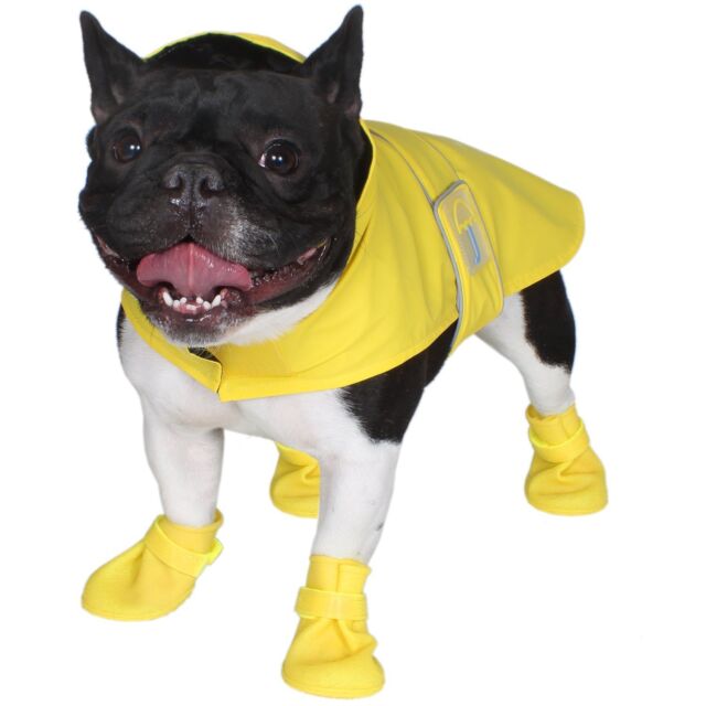 Jelly Wellies Dog Raincoat Size Chart