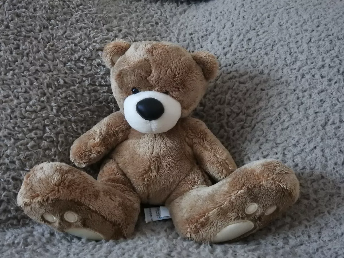Big teddy on sale bear ebay