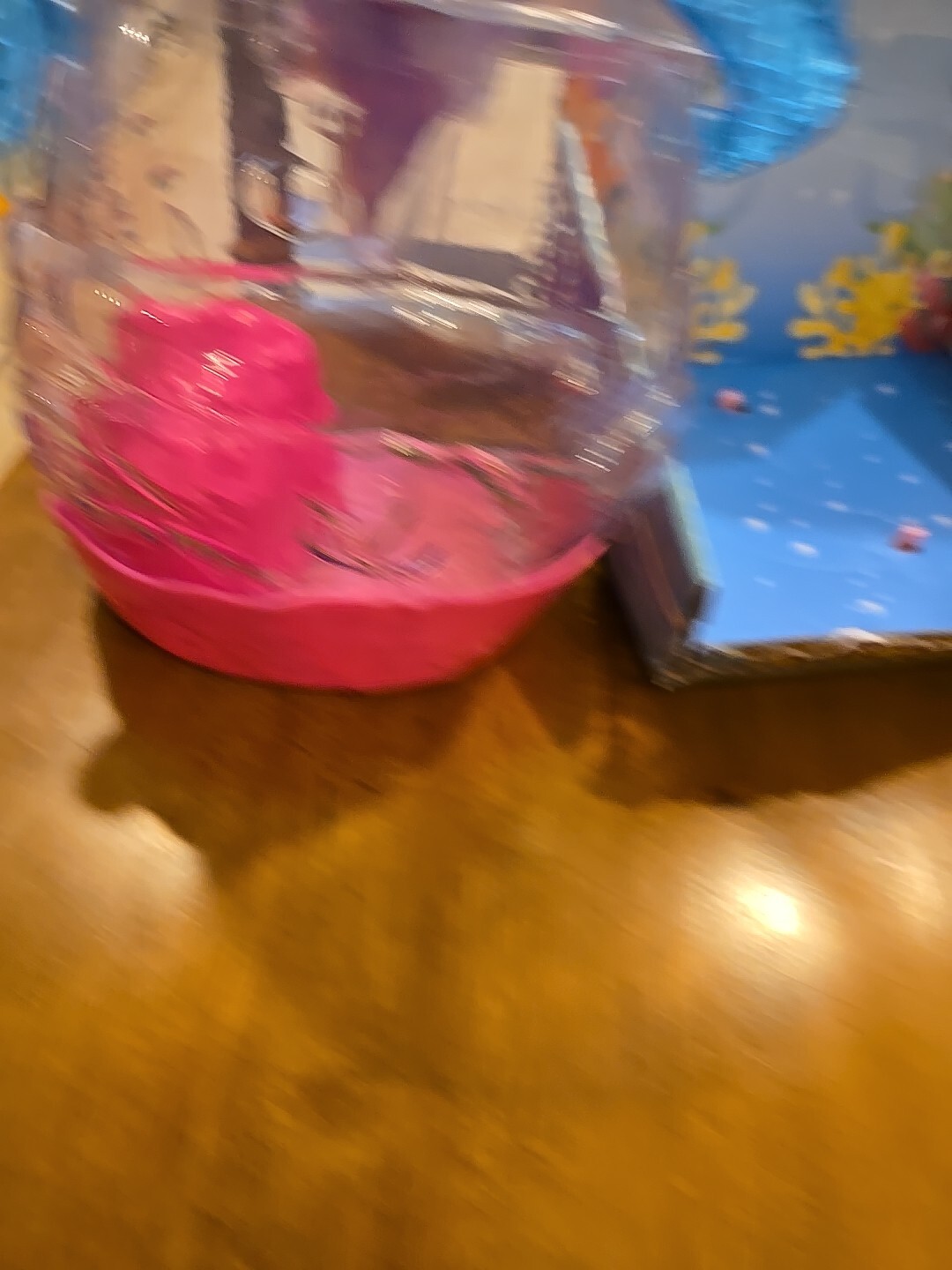 Picture 9 of 15