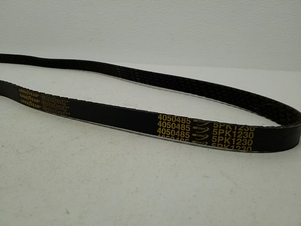 Cinturón serpentino Goodyear Gatorback 4050485 envío gratuito devoluciones gratuitas Foto 4 de 4