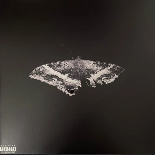 Kendrick Lamar - To Pimp A Butterfly,  10TH Black Vinyl LP (New/Not Sealed)