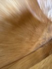 Bild 6 von 12
