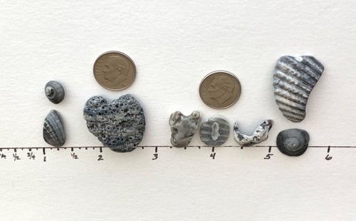 Insegna naturale a forma di lettera "I ❤️ TU!" conchiglie spiaggia corallo arte artigianato conchiglia USA - Foto 7 di 11