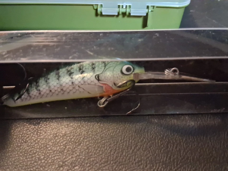 Bagley Balsa Shad 08 Foto 4 de 4