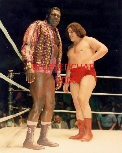 BOBO BRAZIL & ANDRE THE GIANT 8 X 10 WRESTLING PHOTO NWA WWWF - Image 1 of 1