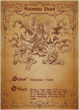 - Spell Scrolls I - 100 Textured Matte TCG Card Sleeves - Fits Magic MTG Command