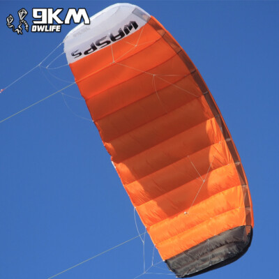 5㎡ Quad Line Traction Kite Surfing Stunt Trainer Kite Parafoil Parachute Sports