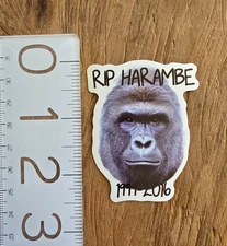 Gorilla Sticker Gorilla Decal Funny Sticker Meme sticker Meme Decal Funny