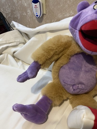 2008 Jeff Dunham sprechende PEANUT Puppe 18 Zoll am Stock Productions mit Etikett funktioniert - Bild 6 von 19
