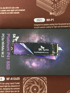 SK Hynix Platinum P41 2TB | eBay