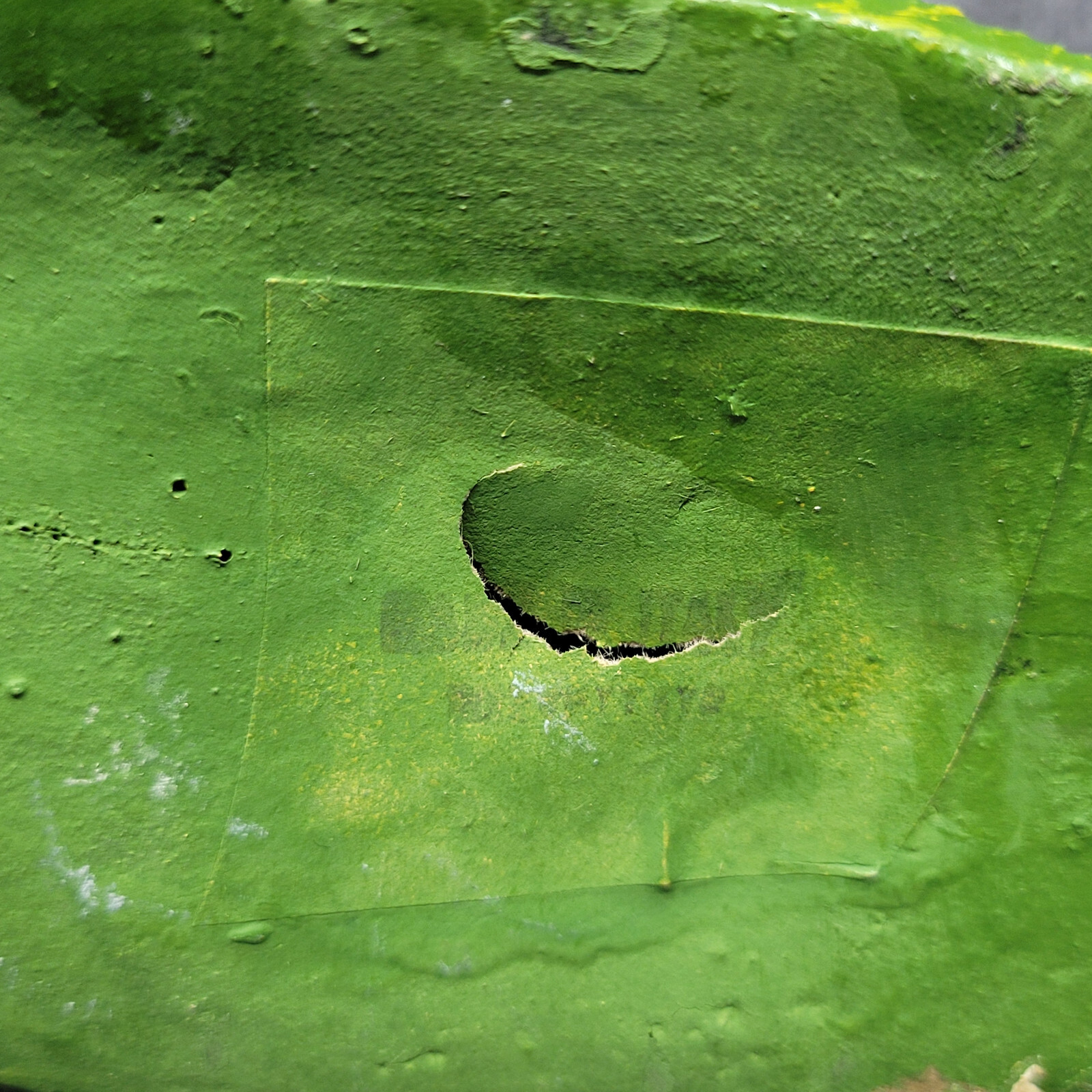 Picture 8 of 10